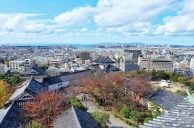 Wakayama Lays Out Final Plans for IR, Expects Huge Financial Windfall