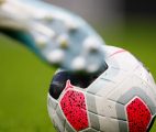 sportradar