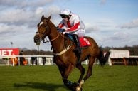 UK Jockey Club Defends Cheltenham Safety Record After Horse Deaths
