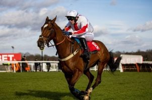 Cheltenham festival