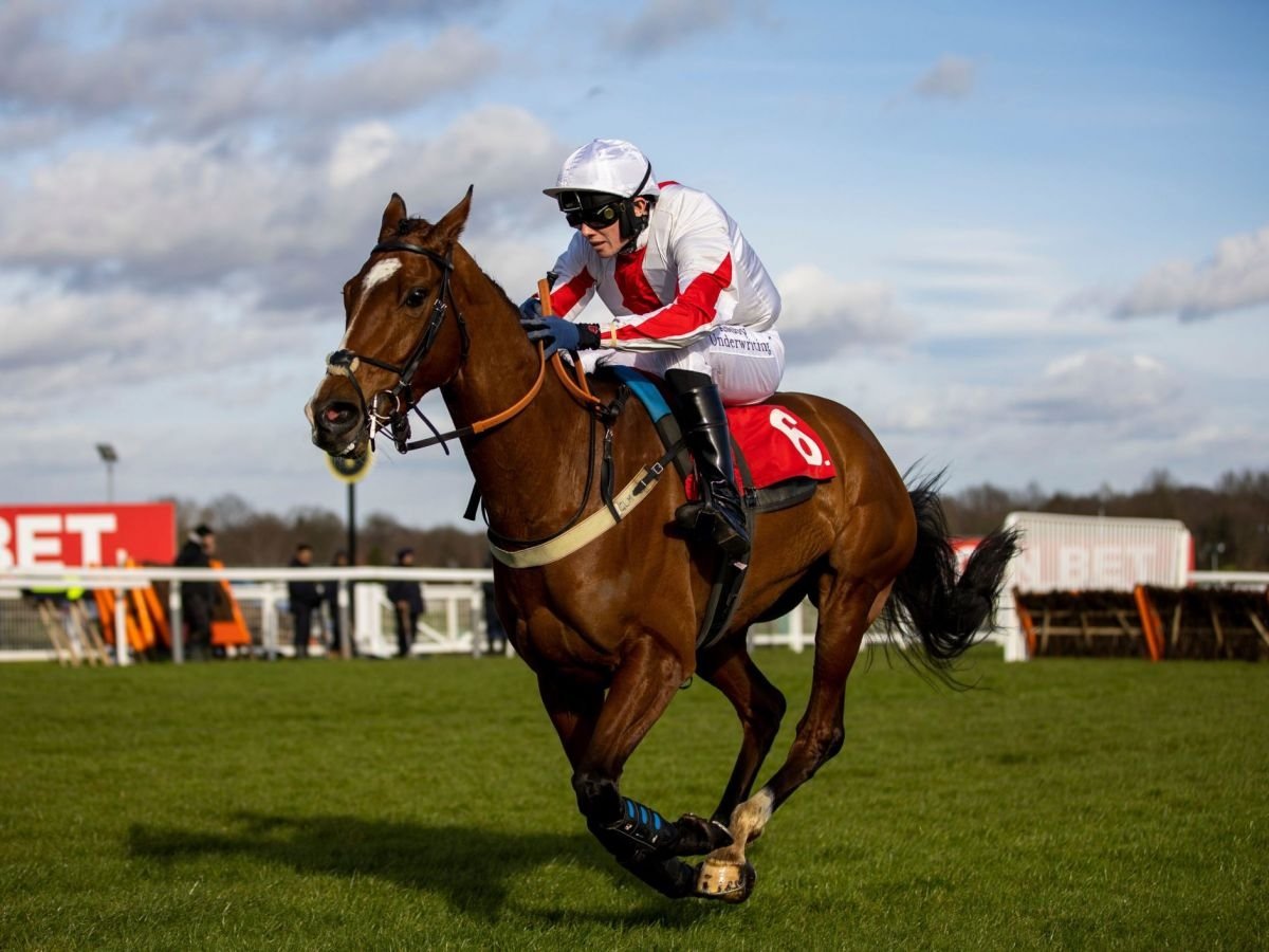 Cheltenham festival