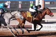 New Mexico Horse Racing Regulator Faces Ethics Complaint from Racehorse Owners