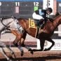 New Mexico Horsemen’s Association
