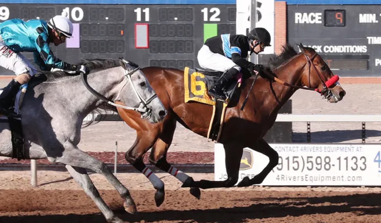 New Mexico Horse Racing Regulator Faces Ethics Complaint