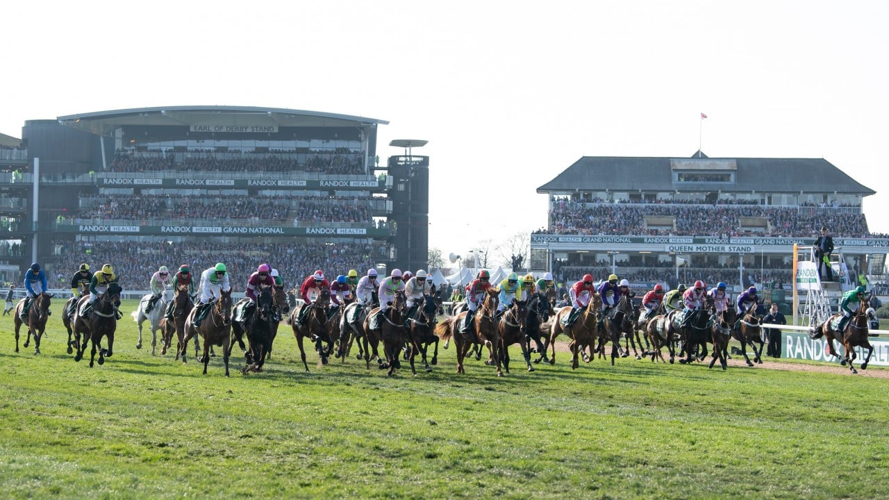 grand national 2022 betting directory