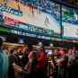 sports book, vegas