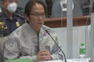 Philippine Online Cockfighting ‘Fixers’ Still Missing as Senate Investigation Wraps