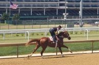 Rich Strike Heads to the Belmont Stakes Looking to Earn More Respect