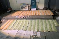 Illegal Gambling Operation in Argentina That Drew More Than 500 Spectators Busted