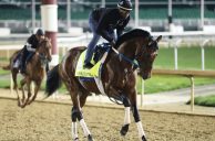Preakness Draws Nine With No Triple Crown at Stake; Epicenter Favored