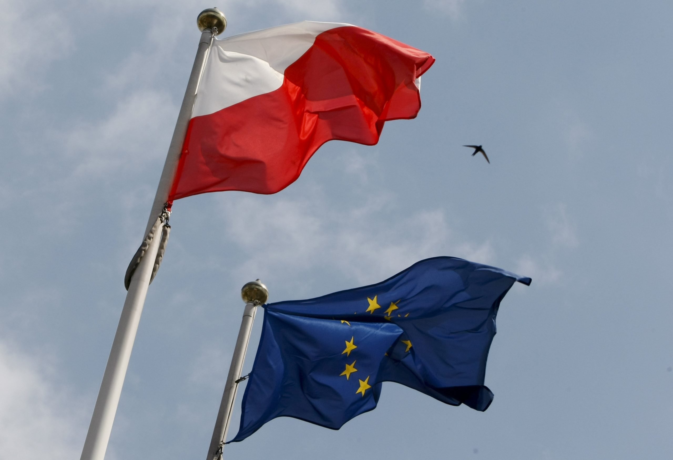 The flags of Poland and European Union