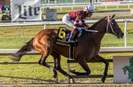 Preakness Win Could Put Epicenter on Track to be 3-Year-Old Champion