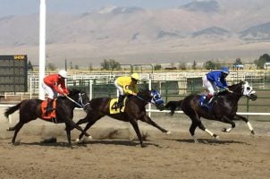 Nevada horse racing
