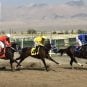 Nevada horse racing