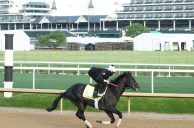 Kentucky Derby Betting Update: Morning-Line Odds Explained