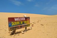 Colombia Considers Building Las Vegas-Inspired Casino Oasis in the Desert
