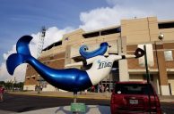 Norfolk Harbor Park Stadium Address Change Allows Temporary Casino Operation