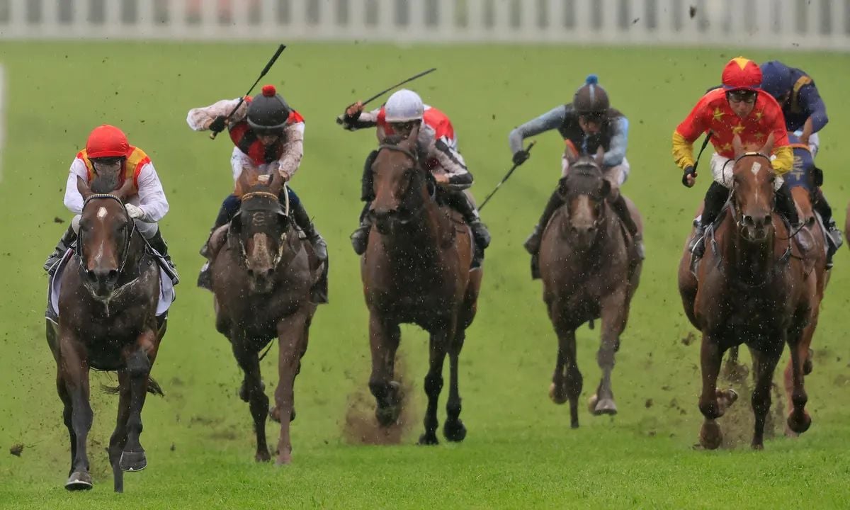 A horse race at Sydney’s Royal Randwick racecourse