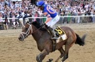 Belmont Stakes Handle Drops Sharply, Down More Than $10M from 2021
