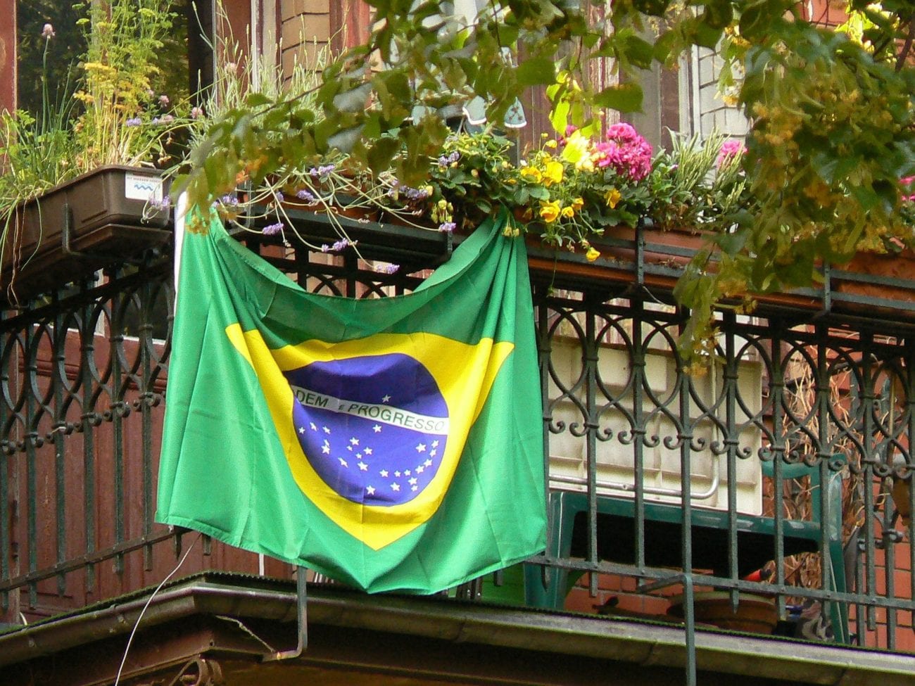 Brazil flag