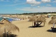 Uruguay Considering New Casino in Coastal Department of Rocha