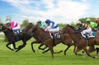 Two Horses Named Sierra Nevada to Compete in Same Race Sunday