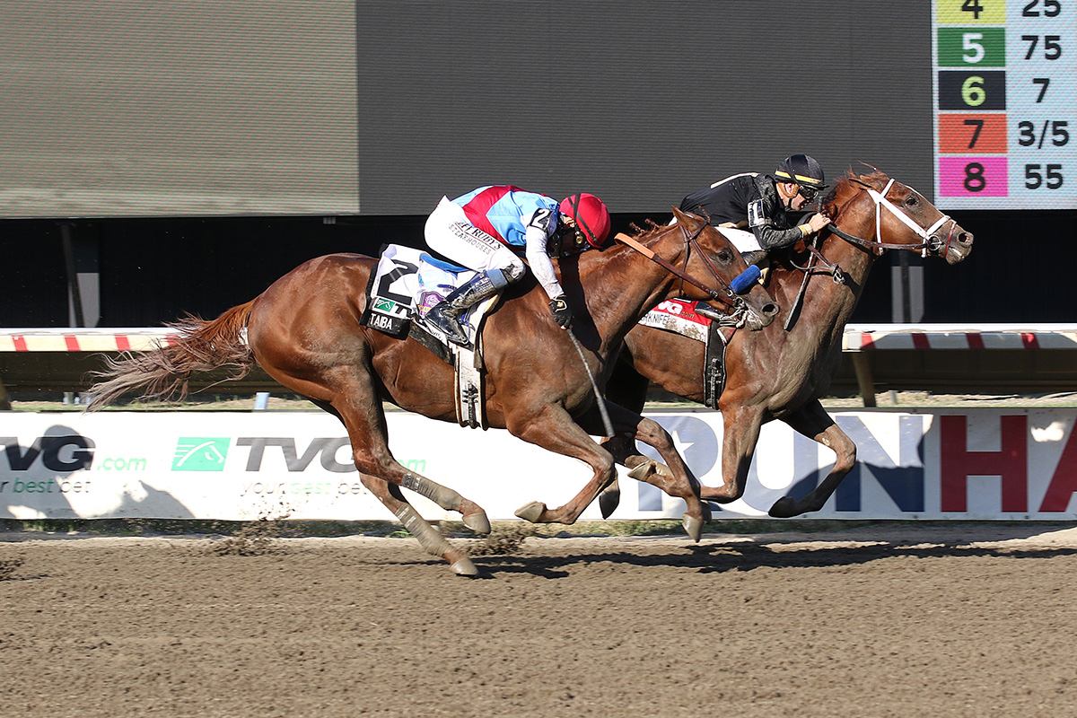 Cyberknife, Taiba Set to Duel Again in Saturday’s Pennsylvania Derby 3 Monmouth Haskell