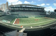 Cincinnati Bengals First Pro Team to Apply for Ohio Sports Betting License