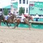Churchill Downs stock split