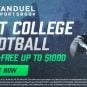 Virginia sports betting tax promotional credit bet