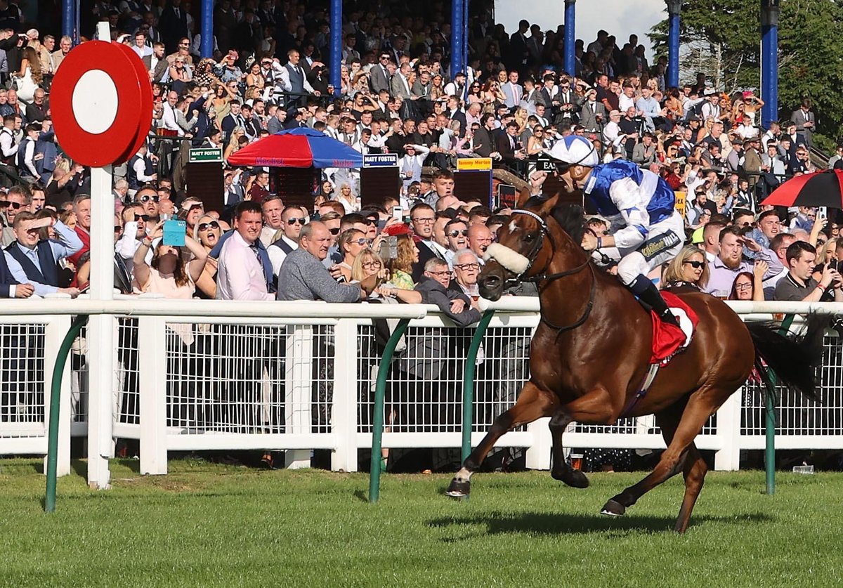 Bielsa in the Virgin Bet Ayr Gold Cup in 2021