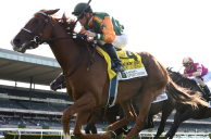 Horse Racing Handle Down Marginally for First Half of ’22 as Purses Grow
