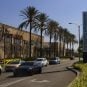 Hawaiian Gardens
