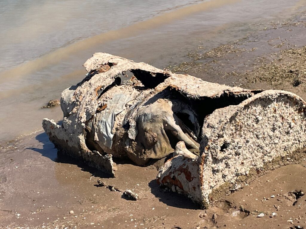 Lake Mead Barrel