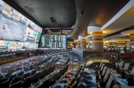 Circa Sports Boosts UFC Betting Limits