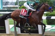 Flightline Seeks to Make Breeders Cup Classic Case Saturday at Del Mar