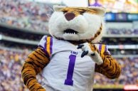 Louisiana Sports Betting Revenue Outpacing Fiscal Projections, But Casino Win Slows