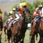 Horse race