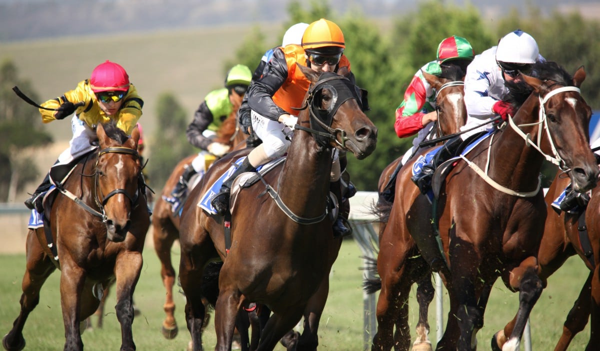 Horse race