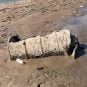 Lake Mead Break: Could Barrel Body Be Her Brother?