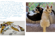 Oregon Lottery Winning Ticket Chewed Up By Pets, Doggone It, State Still Pays