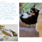 Oregon Lottery Winning Ticket Chewed Up By Pets, Doggone It, State Still Pays