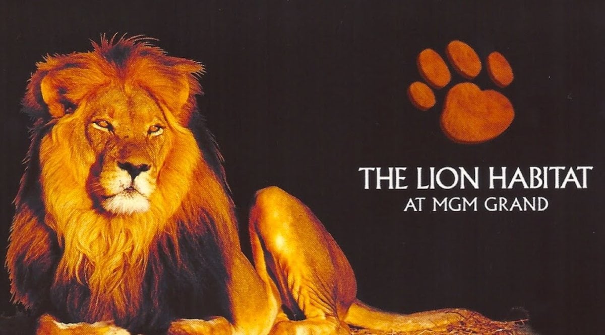 Bentley the Lion, Bekas Penduduk Besar MGM, Meninggal Dunia pada 15 tahun