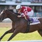 Monmouth Park Sees Handle Increase, CEO Dennis Drazin Pleased with Fixed-Odds Debut
