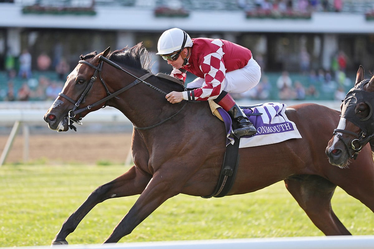  Nownownow Stakes at Monmouth Park