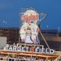 Minnesota Twins logo