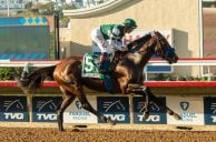 Flightline Now a Huge Breeders’ Cup Classic Favorite After Soaring in Del Mar — VIDEO