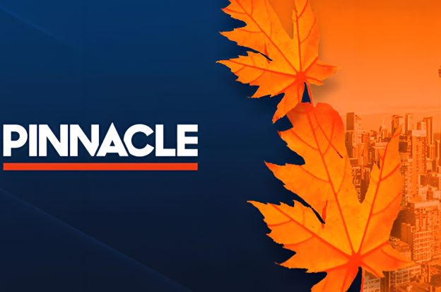 Pinnacle banner