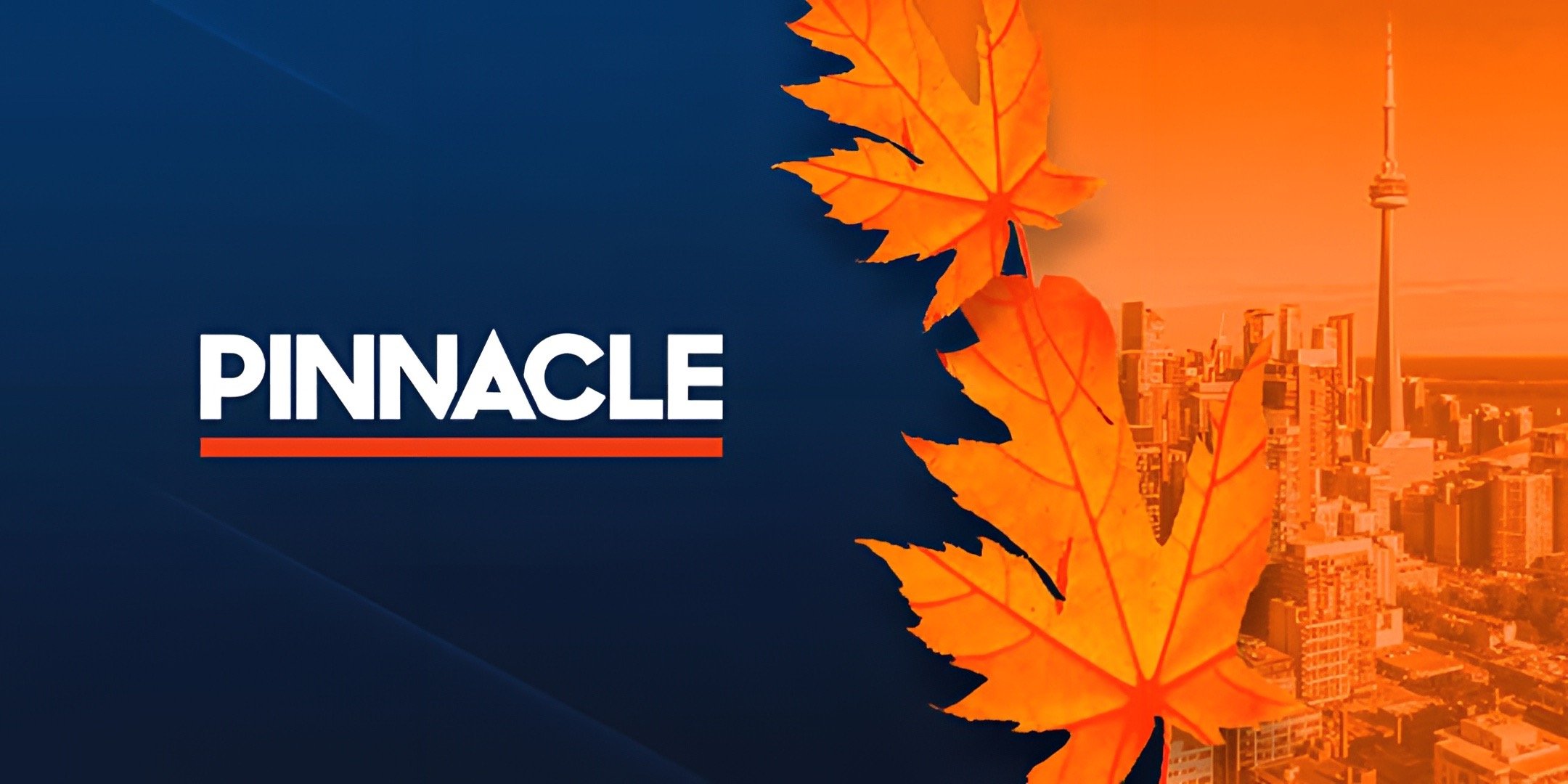 Pinnacle banner