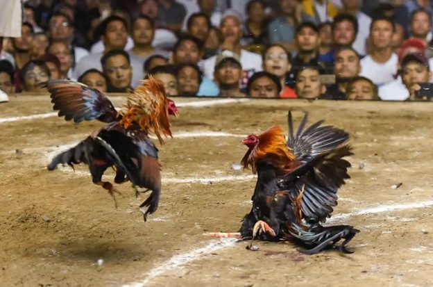 The World Slasher Cup